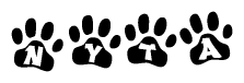 The image shows a row of animal paw prints, each containing a letter. The letters spell out the word Nyta within the paw prints.