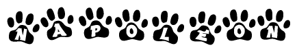 The image shows a series of animal paw prints arranged horizontally. Within each paw print, there's a letter; together they spell Napoleon
