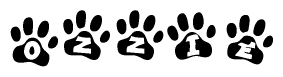 The image shows a row of animal paw prints, each containing a letter. The letters spell out the word Ozzie within the paw prints.