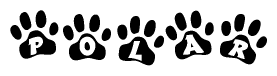 The image shows a series of animal paw prints arranged in a horizontal line. Each paw print contains a letter, and together they spell out the word Polar.