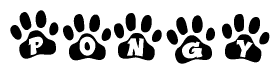 The image shows a series of animal paw prints arranged horizontally. Within each paw print, there's a letter; together they spell Pongy