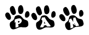 The image shows a series of animal paw prints arranged horizontally. Within each paw print, there's a letter; together they spell Pam