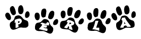The image shows a row of animal paw prints, each containing a letter. The letters spell out the word Perla within the paw prints.