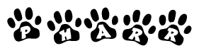 The image shows a row of animal paw prints, each containing a letter. The letters spell out the word Pharr within the paw prints.