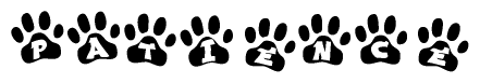 The image shows a row of animal paw prints, each containing a letter. The letters spell out the word Patience within the paw prints.
