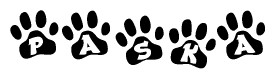 The image shows a series of animal paw prints arranged horizontally. Within each paw print, there's a letter; together they spell Paska