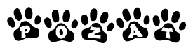 The image shows a row of animal paw prints, each containing a letter. The letters spell out the word Pozat within the paw prints.