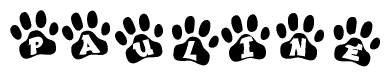 The image shows a series of animal paw prints arranged in a horizontal line. Each paw print contains a letter, and together they spell out the word Pauline.