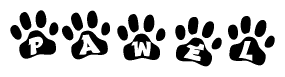 The image shows a row of animal paw prints, each containing a letter. The letters spell out the word Pawel within the paw prints.