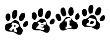 The image shows a row of animal paw prints, each containing a letter. The letters spell out the word Reid within the paw prints.