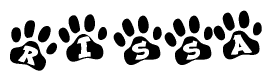 The image shows a series of animal paw prints arranged horizontally. Within each paw print, there's a letter; together they spell Rissa