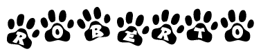 The image shows a series of animal paw prints arranged in a horizontal line. Each paw print contains a letter, and together they spell out the word Roberto.