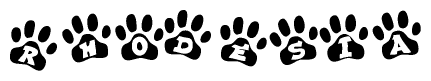 The image shows a row of animal paw prints, each containing a letter. The letters spell out the word Rhodesia within the paw prints.