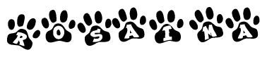 The image shows a row of animal paw prints, each containing a letter. The letters spell out the word Rosaima within the paw prints.