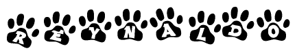 The image shows a row of animal paw prints, each containing a letter. The letters spell out the word Reynaldo within the paw prints.