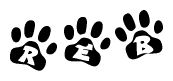 The image shows a series of animal paw prints arranged in a horizontal line. Each paw print contains a letter, and together they spell out the word Reb.