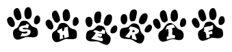 Animal Paw Prints with Sherif Lettering