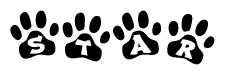 The image shows a series of animal paw prints arranged in a horizontal line. Each paw print contains a letter, and together they spell out the word Star.
