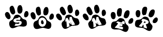 The image shows a row of animal paw prints, each containing a letter. The letters spell out the word Sommer within the paw prints.