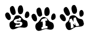 The image shows a series of animal paw prints arranged in a horizontal line. Each paw print contains a letter, and together they spell out the word Sim.