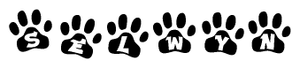 The image shows a series of animal paw prints arranged in a horizontal line. Each paw print contains a letter, and together they spell out the word Selwyn.