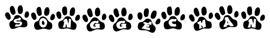 Animal Paw Prints with Songgechan Lettering
