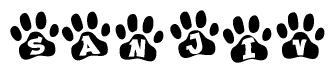 The image shows a series of animal paw prints arranged in a horizontal line. Each paw print contains a letter, and together they spell out the word Sanjiv.