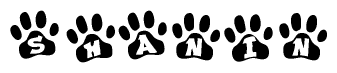 The image shows a series of animal paw prints arranged in a horizontal line. Each paw print contains a letter, and together they spell out the word Shanin.
