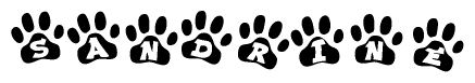 Animal Paw Prints with Sandrine Lettering