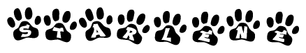 The image shows a series of animal paw prints arranged horizontally. Within each paw print, there's a letter; together they spell Starlene