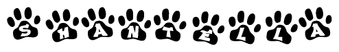 The image shows a series of animal paw prints arranged horizontally. Within each paw print, there's a letter; together they spell Shantella