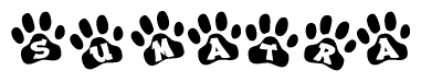 The image shows a series of animal paw prints arranged horizontally. Within each paw print, there's a letter; together they spell Sumatra