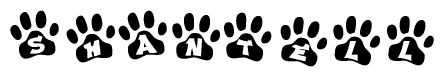 The image shows a series of animal paw prints arranged in a horizontal line. Each paw print contains a letter, and together they spell out the word Shantell.