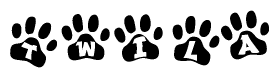 The image shows a series of animal paw prints arranged horizontally. Within each paw print, there's a letter; together they spell Twila