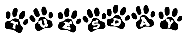 The image shows a series of animal paw prints arranged in a horizontal line. Each paw print contains a letter, and together they spell out the word Tuesday.