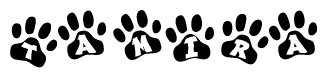 The image shows a row of animal paw prints, each containing a letter. The letters spell out the word Tamira within the paw prints.