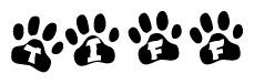 The image shows a row of animal paw prints, each containing a letter. The letters spell out the word Tiff within the paw prints.