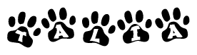The image shows a row of animal paw prints, each containing a letter. The letters spell out the word Talia within the paw prints.