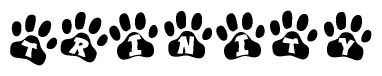 The image shows a series of animal paw prints arranged in a horizontal line. Each paw print contains a letter, and together they spell out the word Trinity.