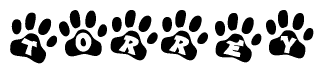 The image shows a series of animal paw prints arranged in a horizontal line. Each paw print contains a letter, and together they spell out the word Torrey.