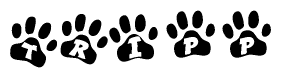 The image shows a series of animal paw prints arranged horizontally. Within each paw print, there's a letter; together they spell Tripp