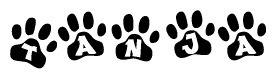 The image shows a series of animal paw prints arranged in a horizontal line. Each paw print contains a letter, and together they spell out the word Tanja.