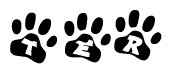 The image shows a series of animal paw prints arranged in a horizontal line. Each paw print contains a letter, and together they spell out the word Ter.