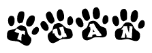The image shows a row of animal paw prints, each containing a letter. The letters spell out the word Tuan within the paw prints.