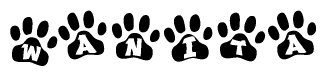 The image shows a row of animal paw prints, each containing a letter. The letters spell out the word Wanita within the paw prints.