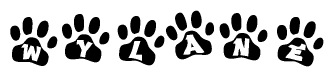 The image shows a row of animal paw prints, each containing a letter. The letters spell out the word Wylane within the paw prints.