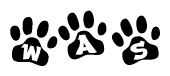 The image shows a row of animal paw prints, each containing a letter. The letters spell out the word Was within the paw prints.