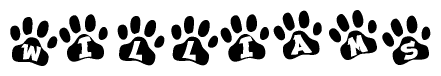 The image shows a series of animal paw prints arranged horizontally. Within each paw print, there's a letter; together they spell Williams