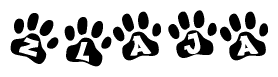 The image shows a series of animal paw prints arranged horizontally. Within each paw print, there's a letter; together they spell Zlaja
