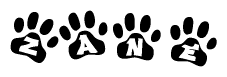The image shows a row of animal paw prints, each containing a letter. The letters spell out the word Zane within the paw prints.